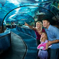 Ripleys Aquarium